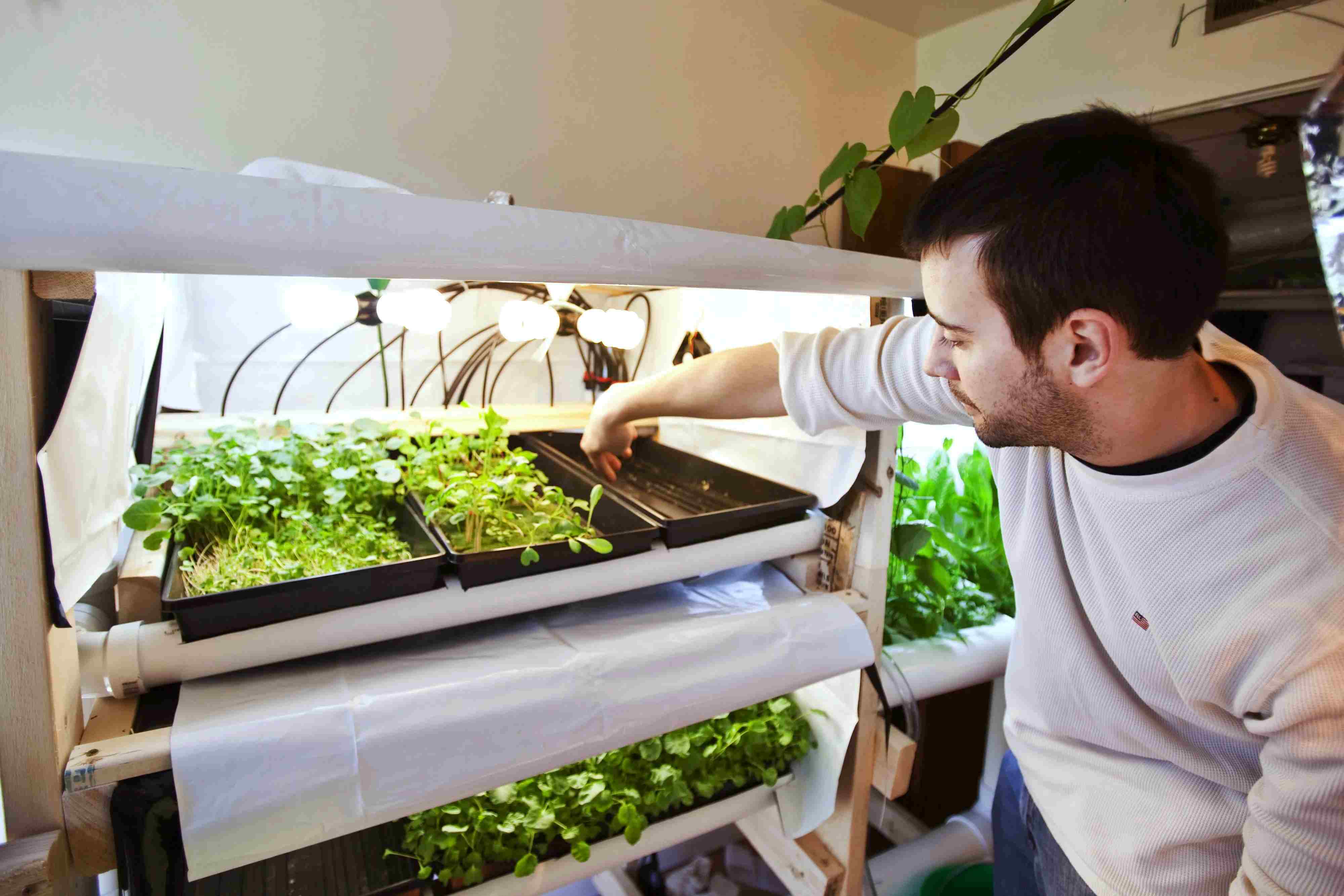 How To Grow With Hydroponics