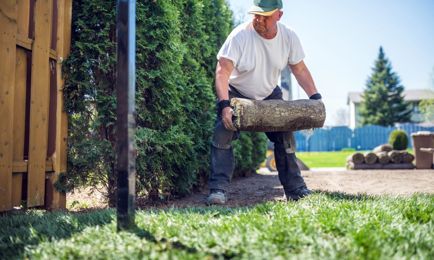 How To Have A Successful Landscaping Business