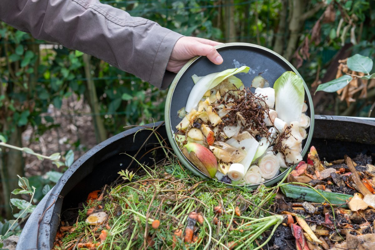How To Keep Compost From Smelling