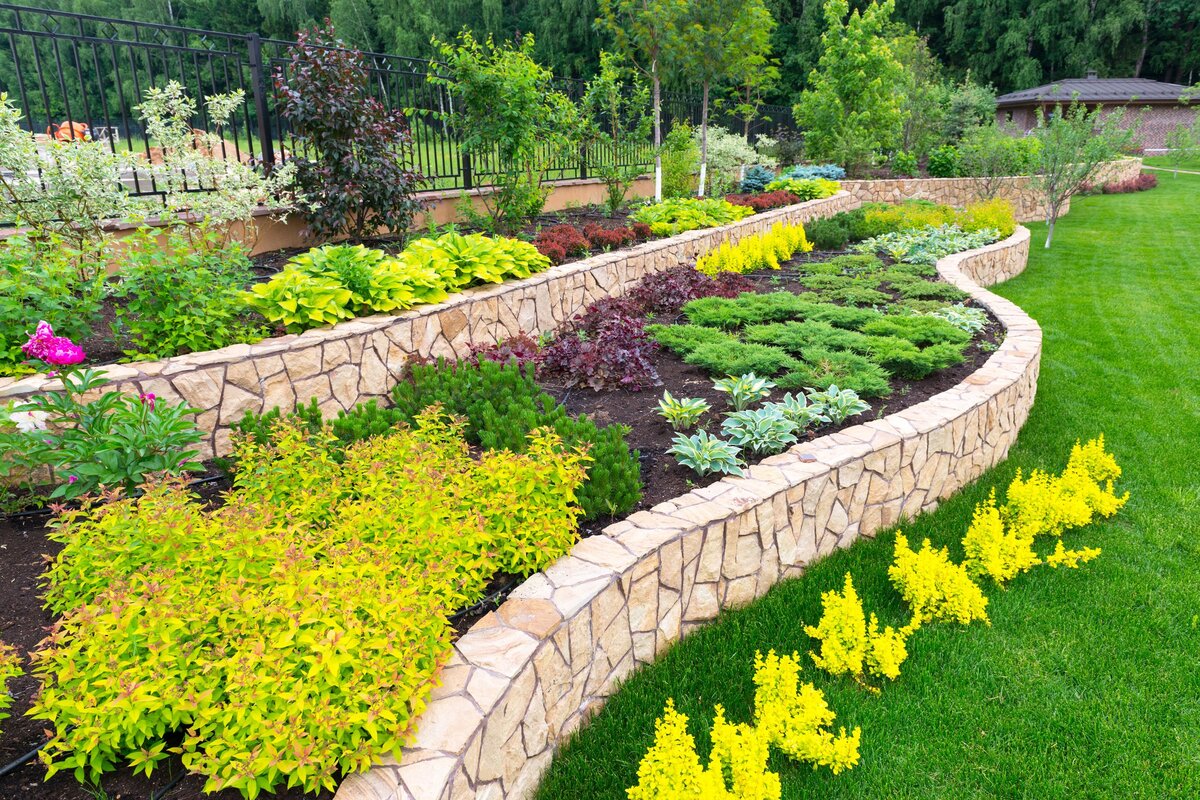 How To Layer Plants In Landscaping
