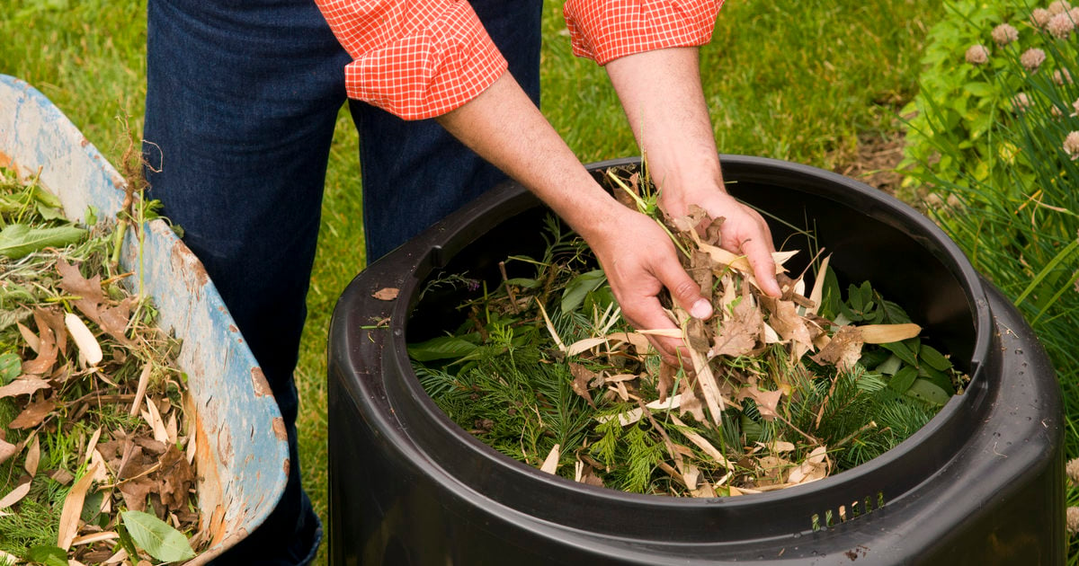 How To Maintain A Compost Bin