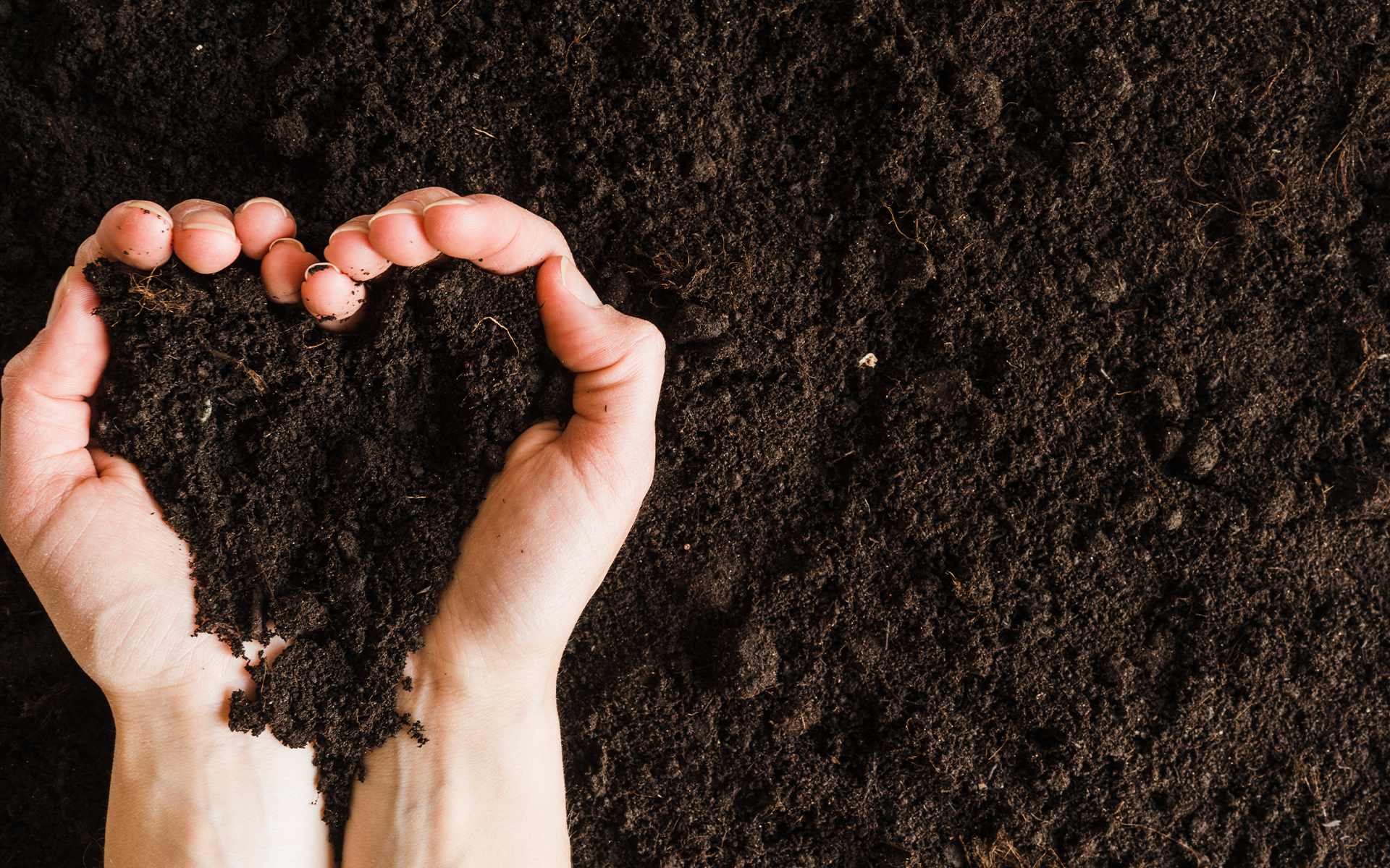 How To Make A Good Soil For Planting