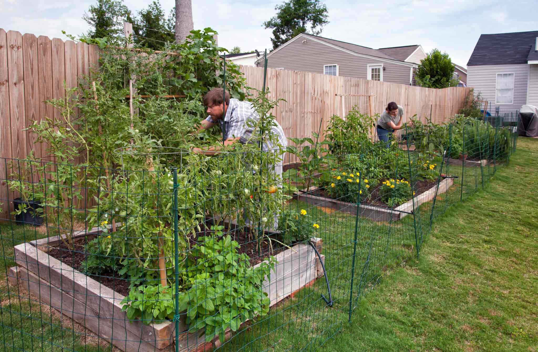How To Make Backyard Garden