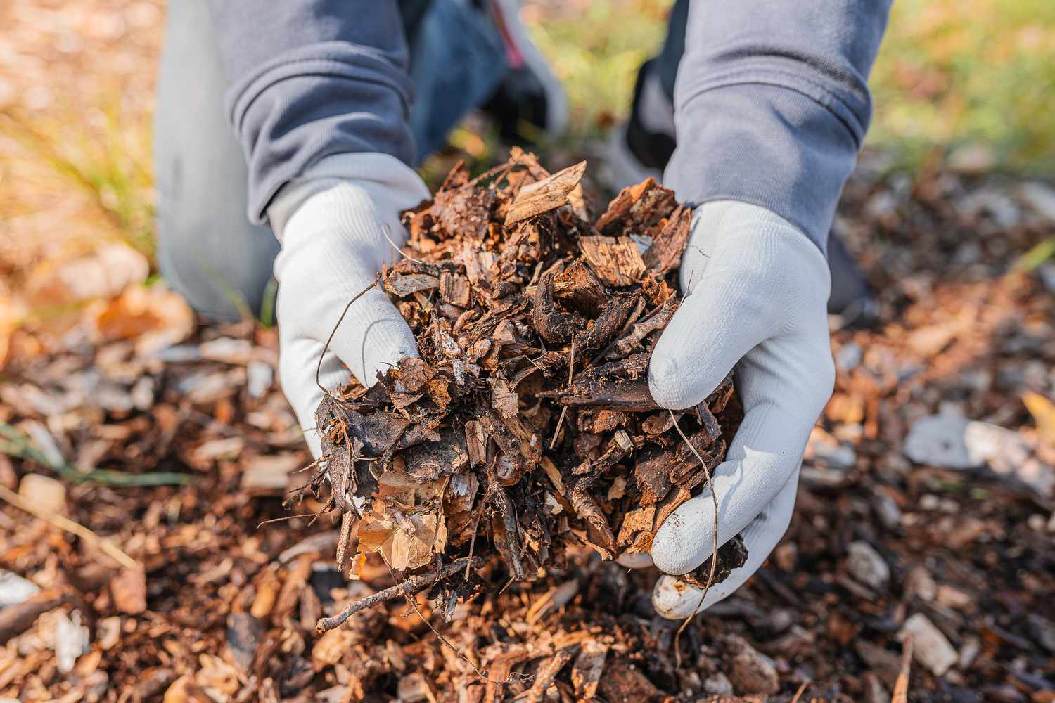 How To Make Compost From Leaves