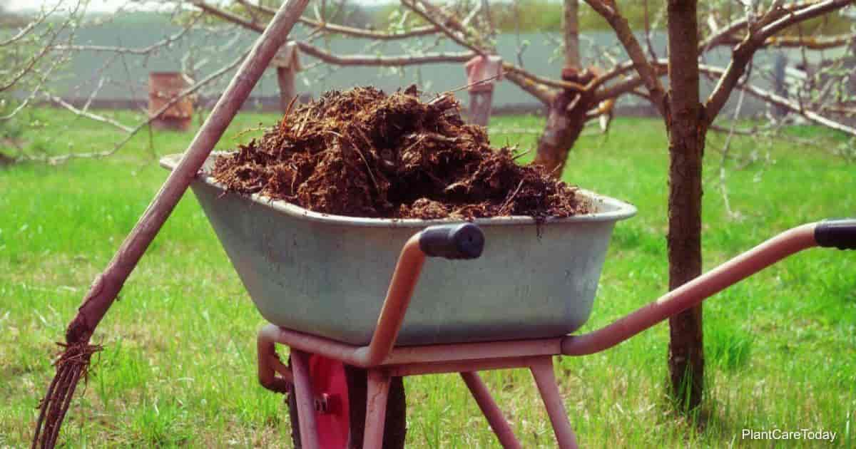 How To Make Manure Compost