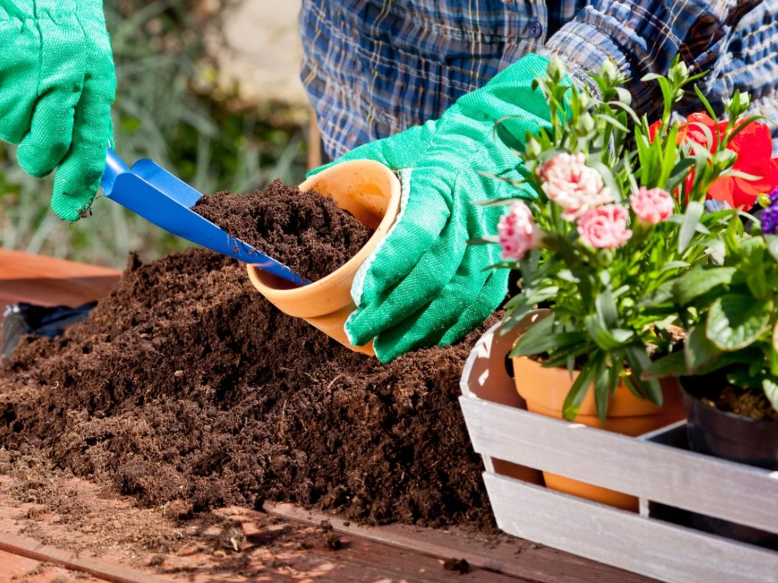 How To Mix Soil For Planting