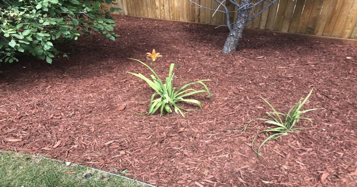 How To Mulch Landscaping