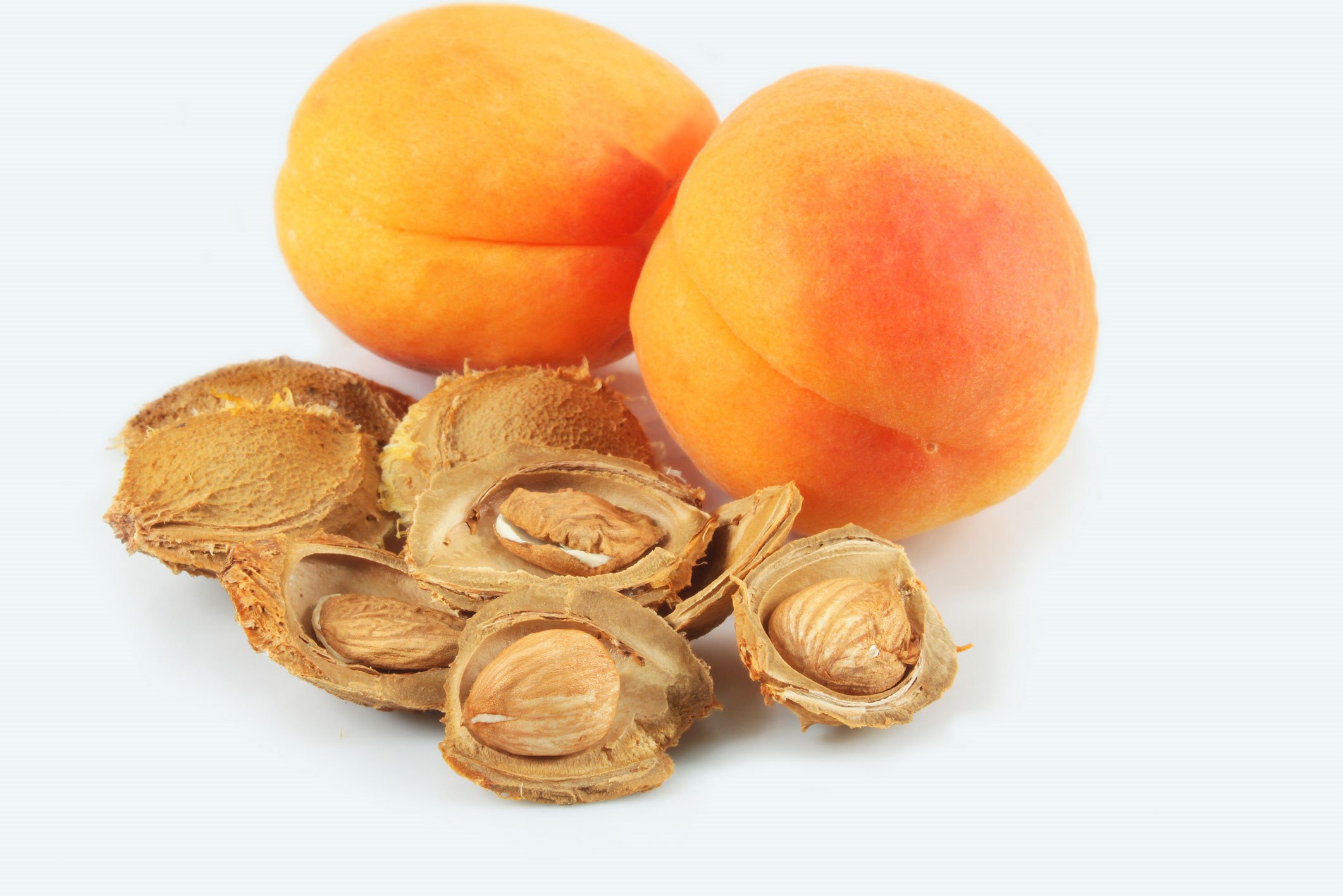 How To Plant Apricot Seeds