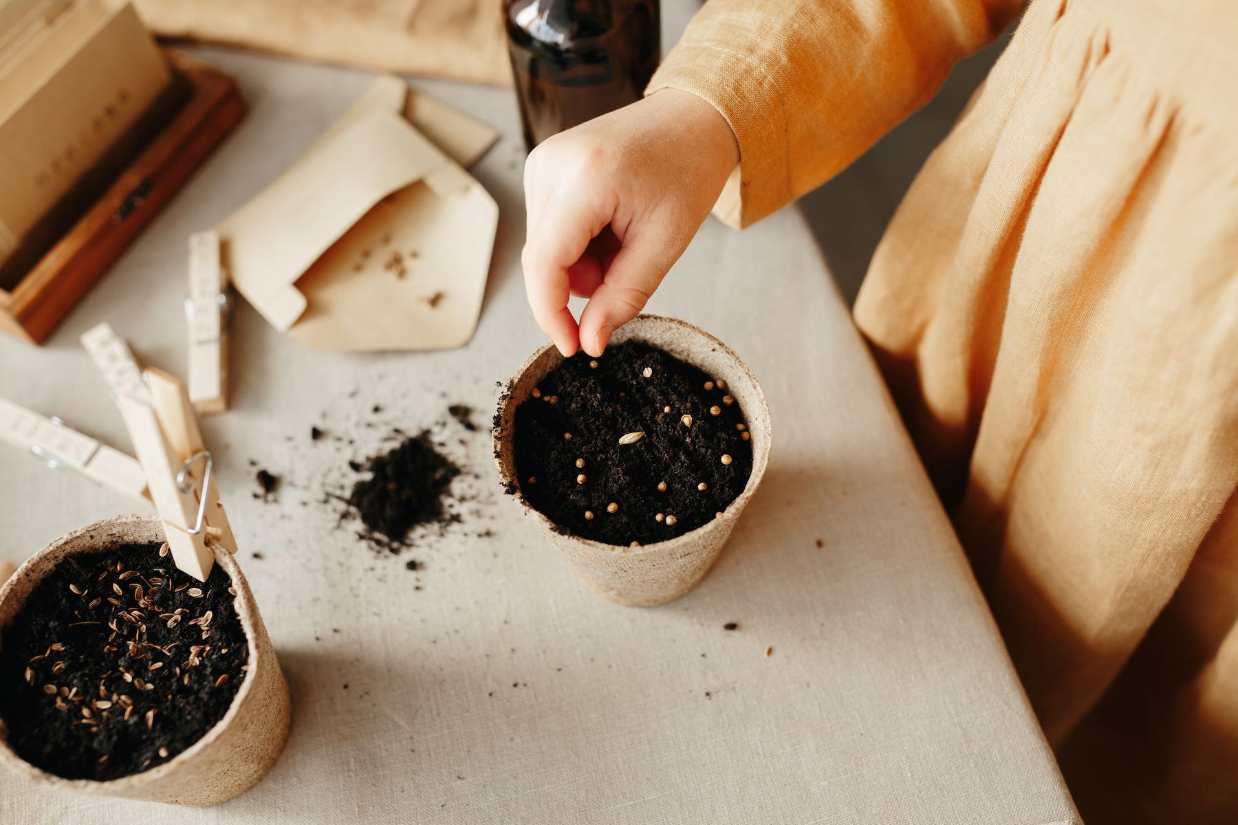 How To Plant Seeds In A Pot