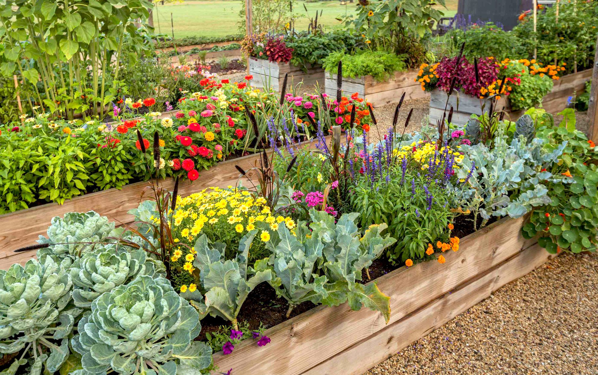 How To Plant Vegetables In Raised Beds