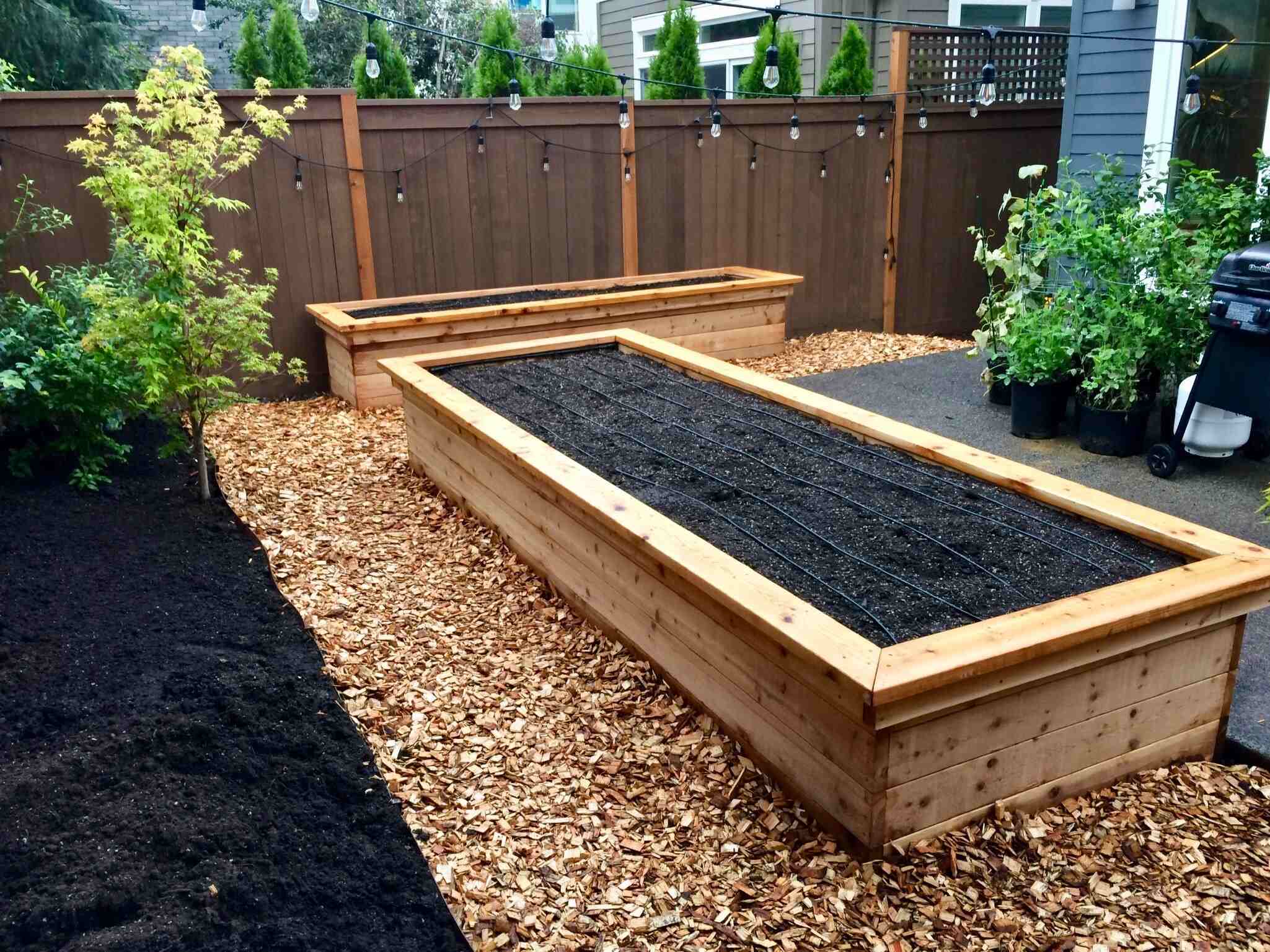 How To Prepare A Garden Bed For Planting Shrubs