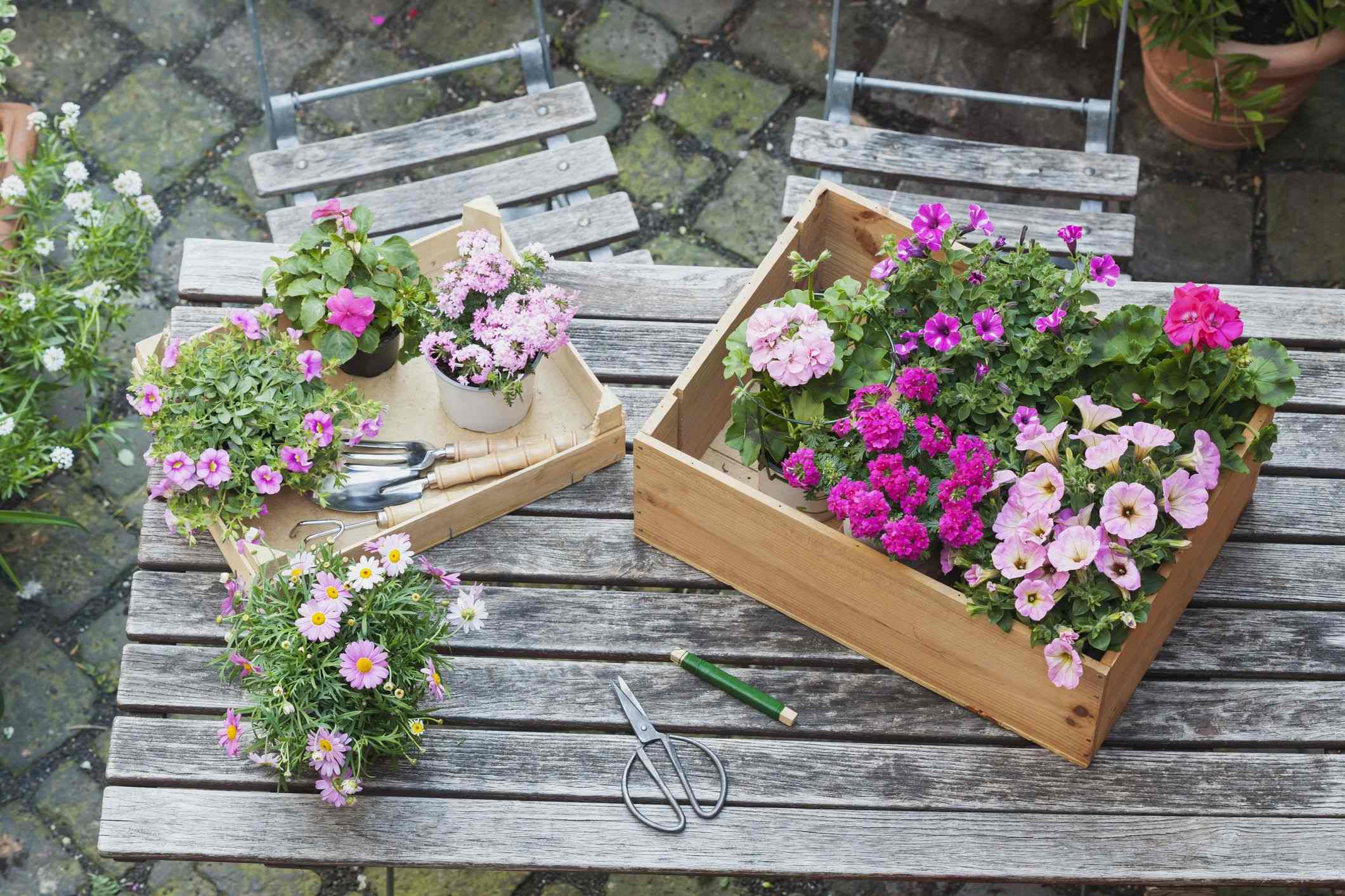 How To Prepare Flower Beds For Planting