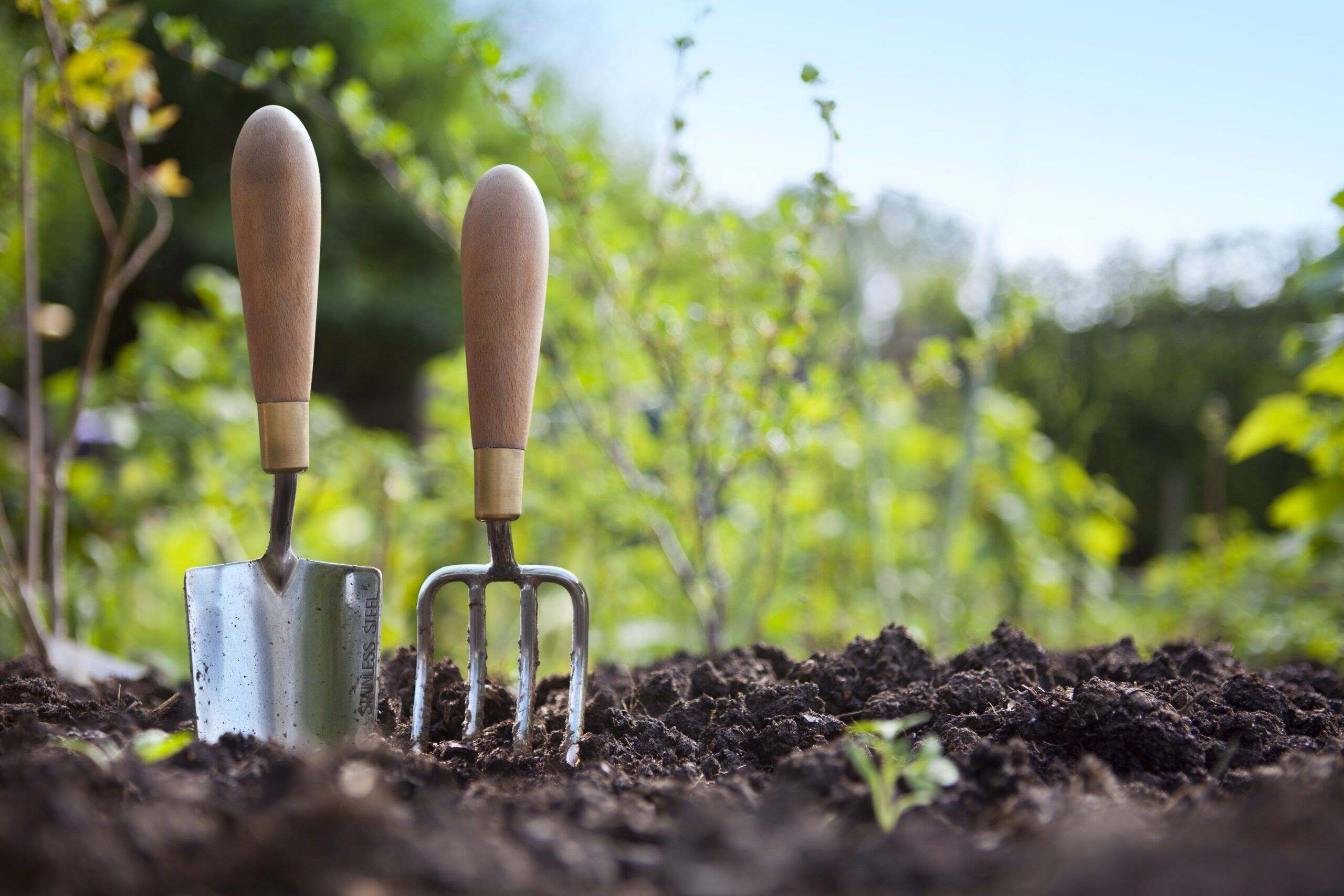How To Prepare Ground Soil For Planting