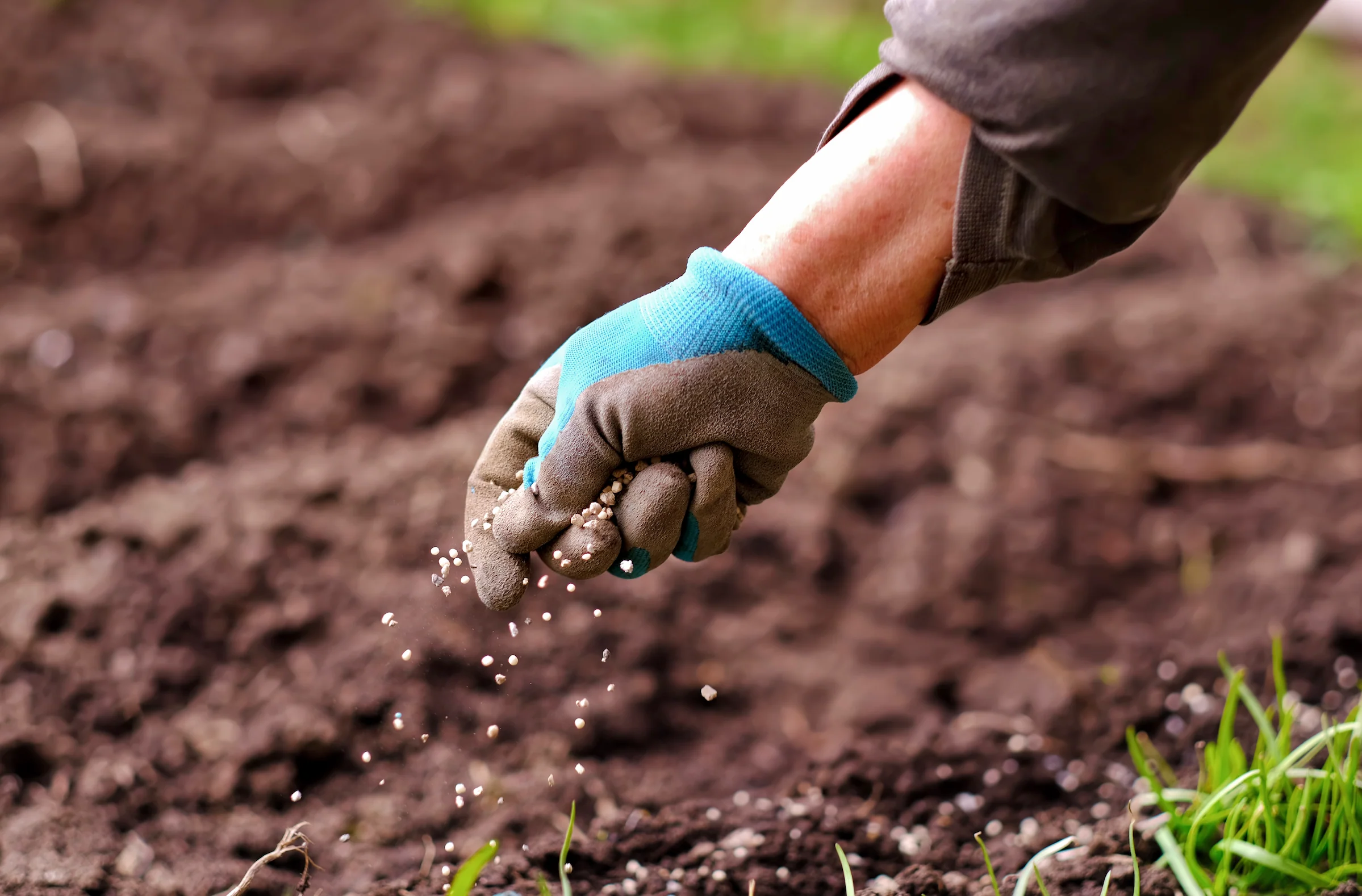How To Prepare Soil For Planting Grass