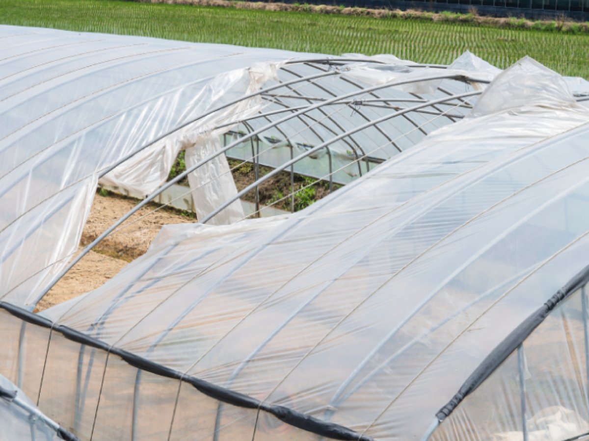 How To Protect Greenhouse From Wind