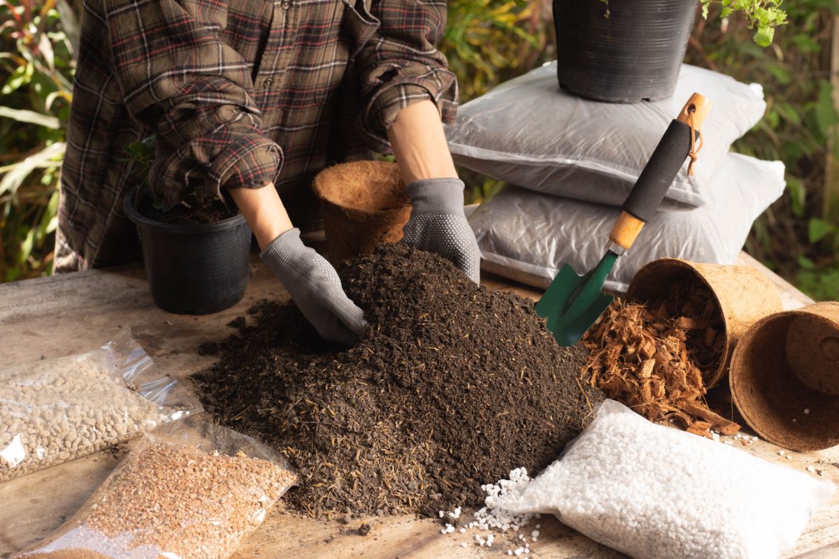 How To Put Compost In Garden
