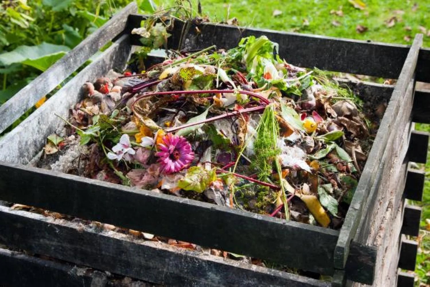 How To Start A Compost Pile