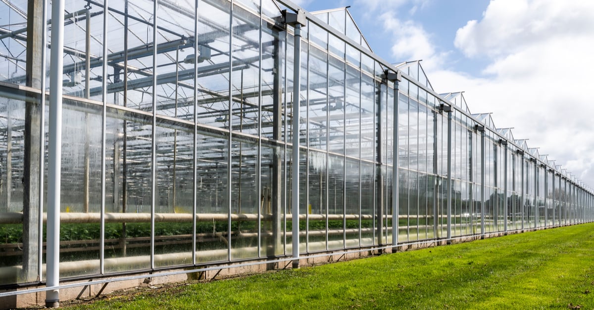 How To Start A Greenhouse Business
