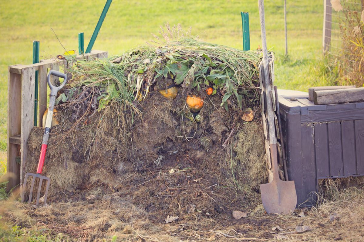 How To Start Compost Bin