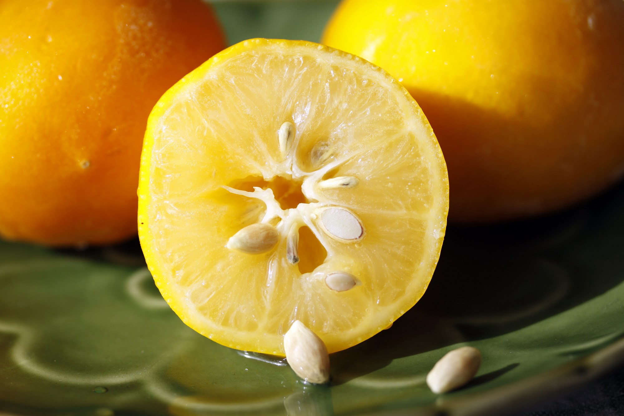 How To Start Lemon Seeds