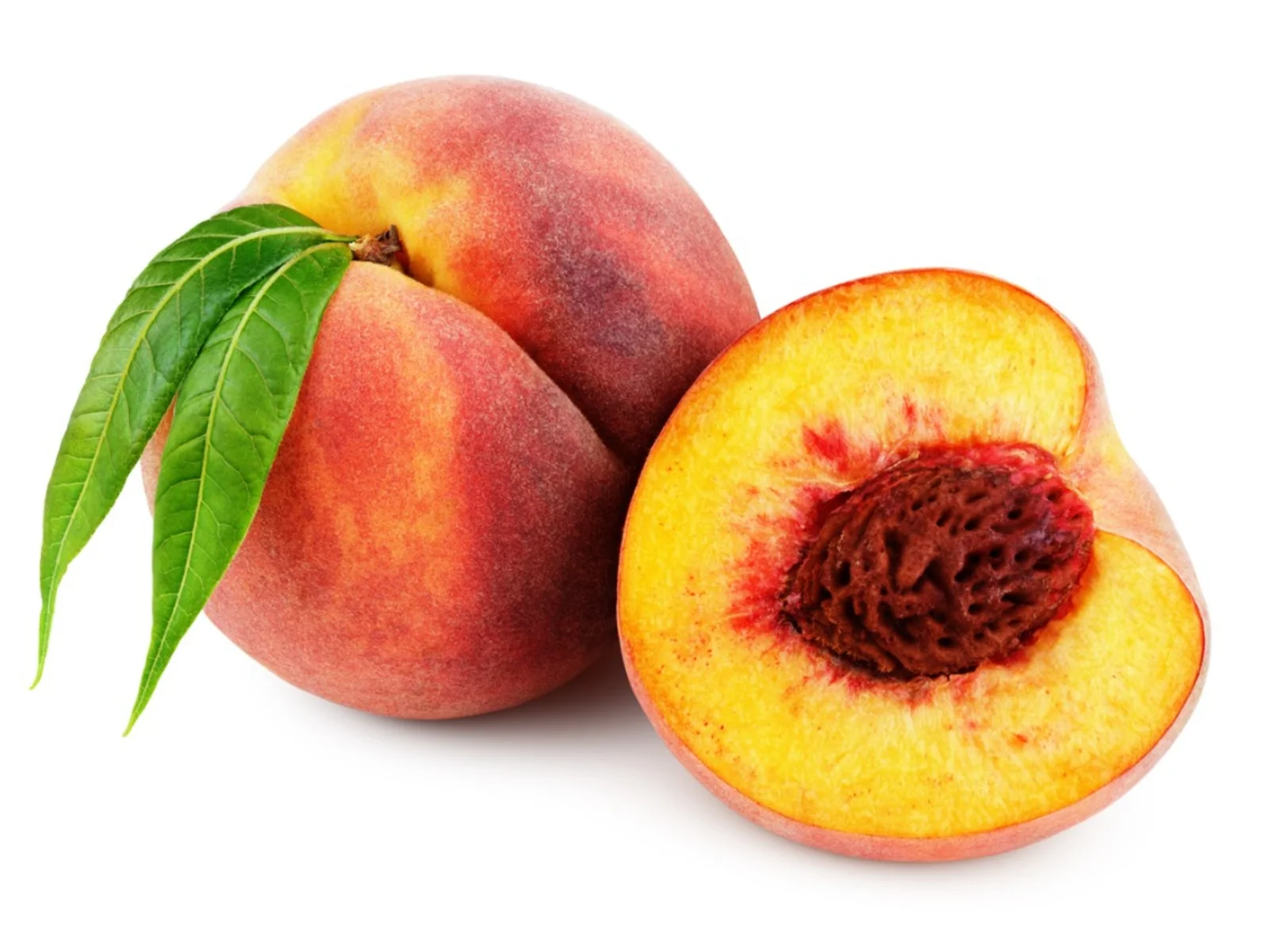 How To Start Peach Seeds