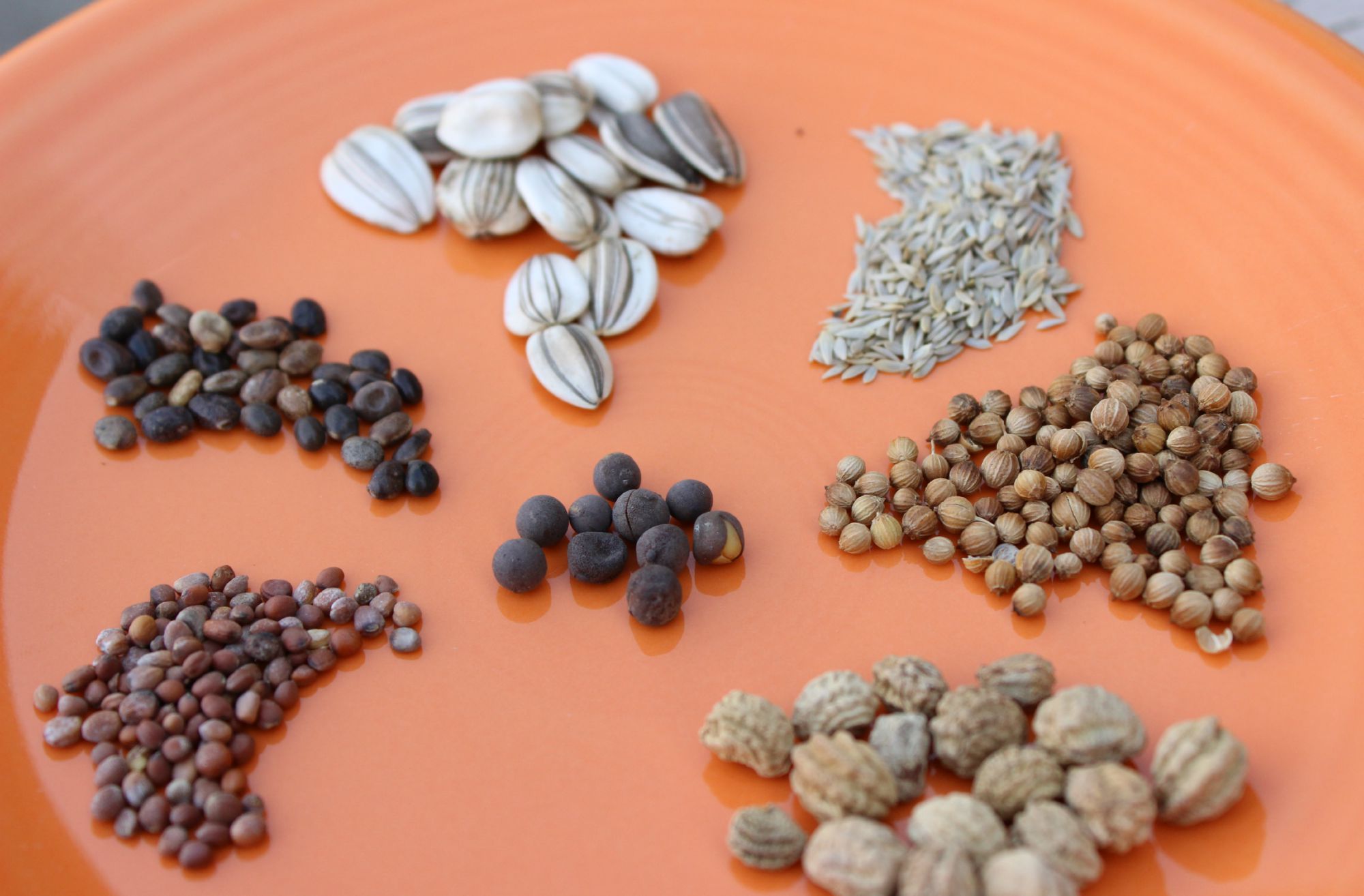 How To Sterilize Seeds For Planting