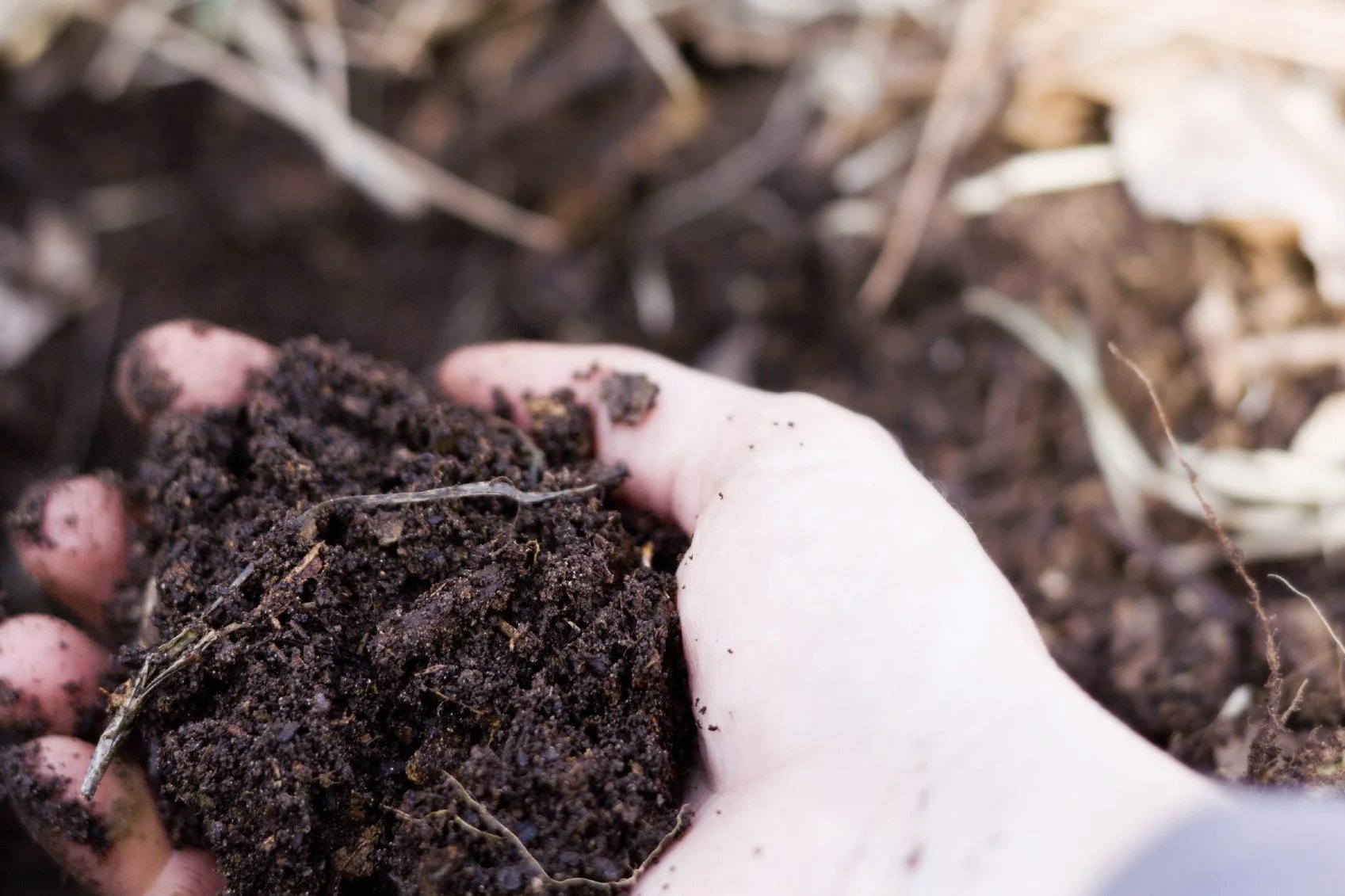 How To Store Compost