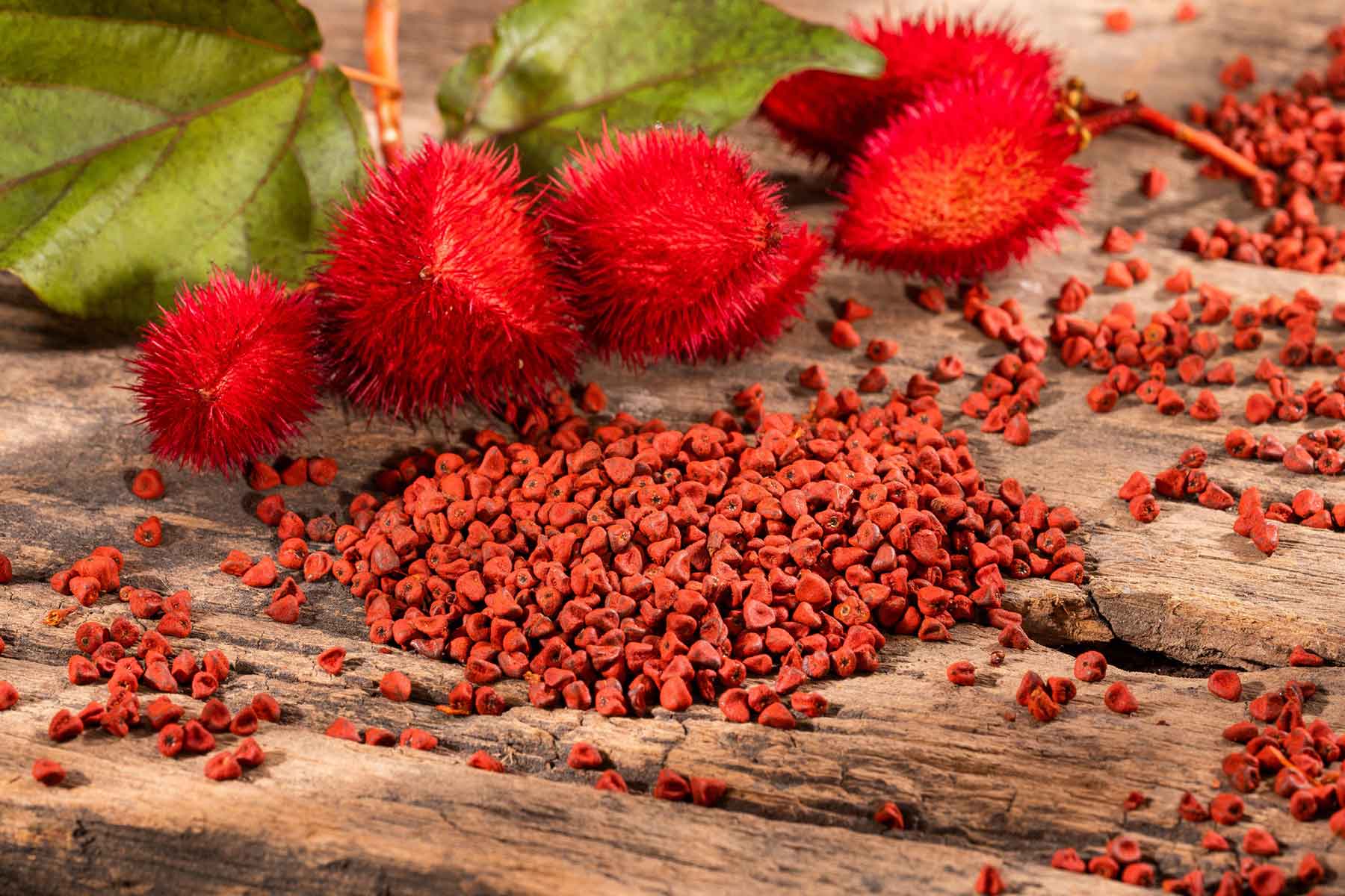 How To Use Annatto Seeds