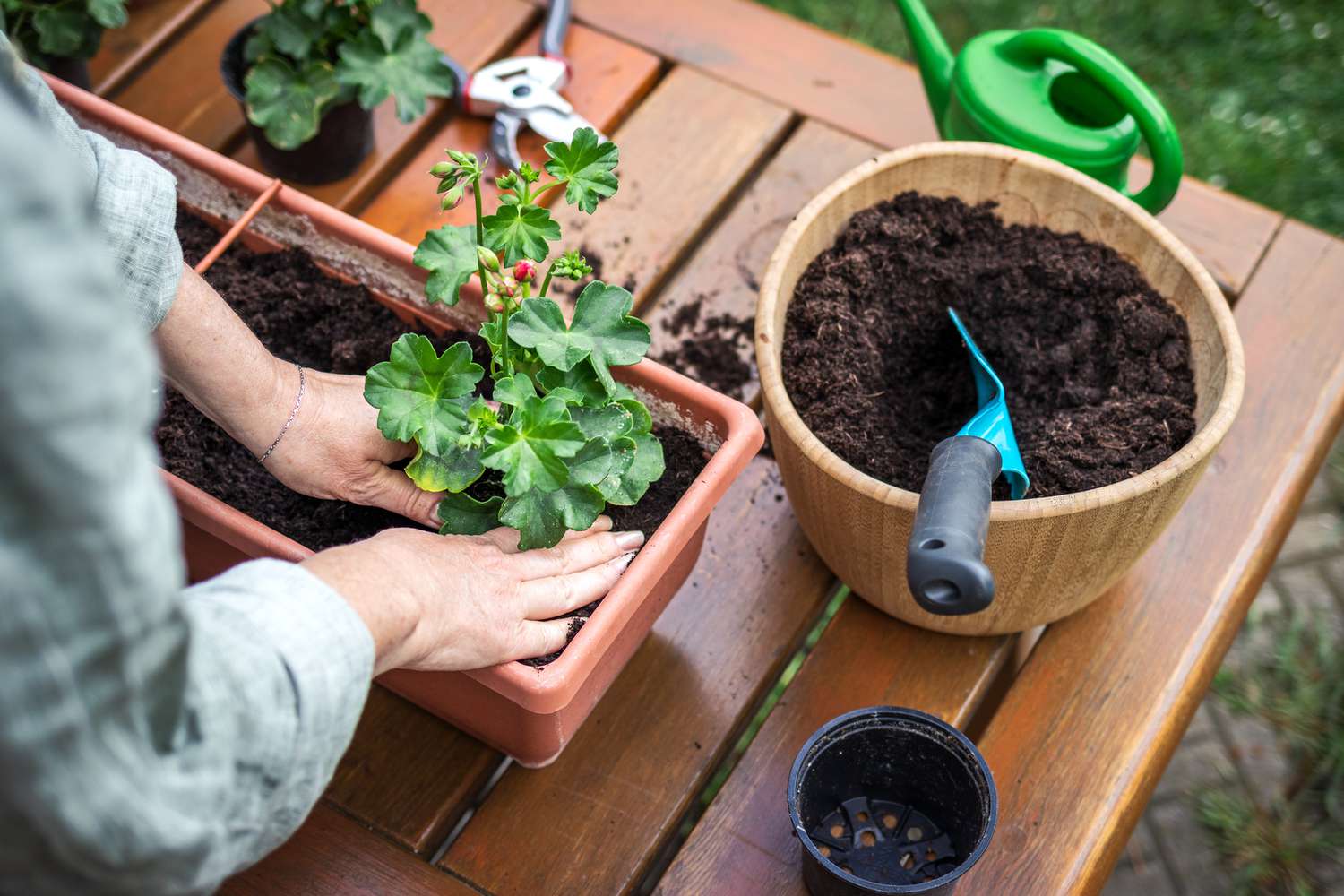 How To Use Compost In Potted Plants