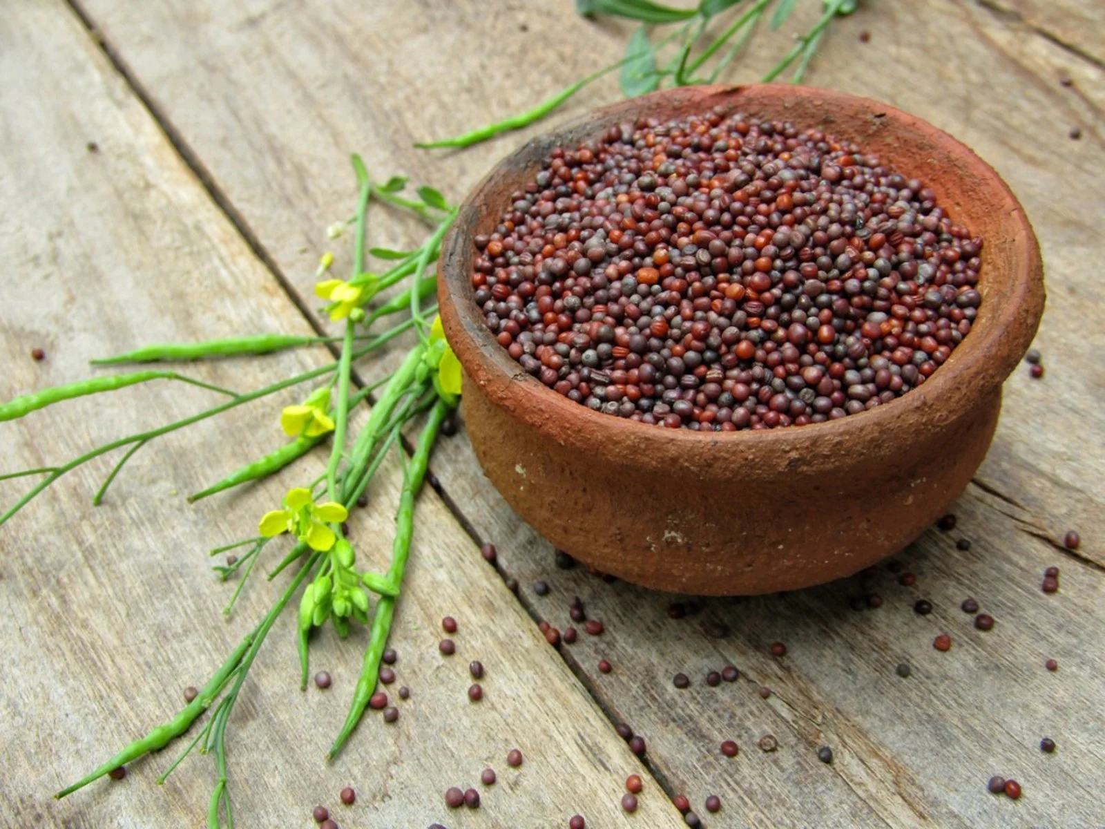 How To Use Mustard Seeds