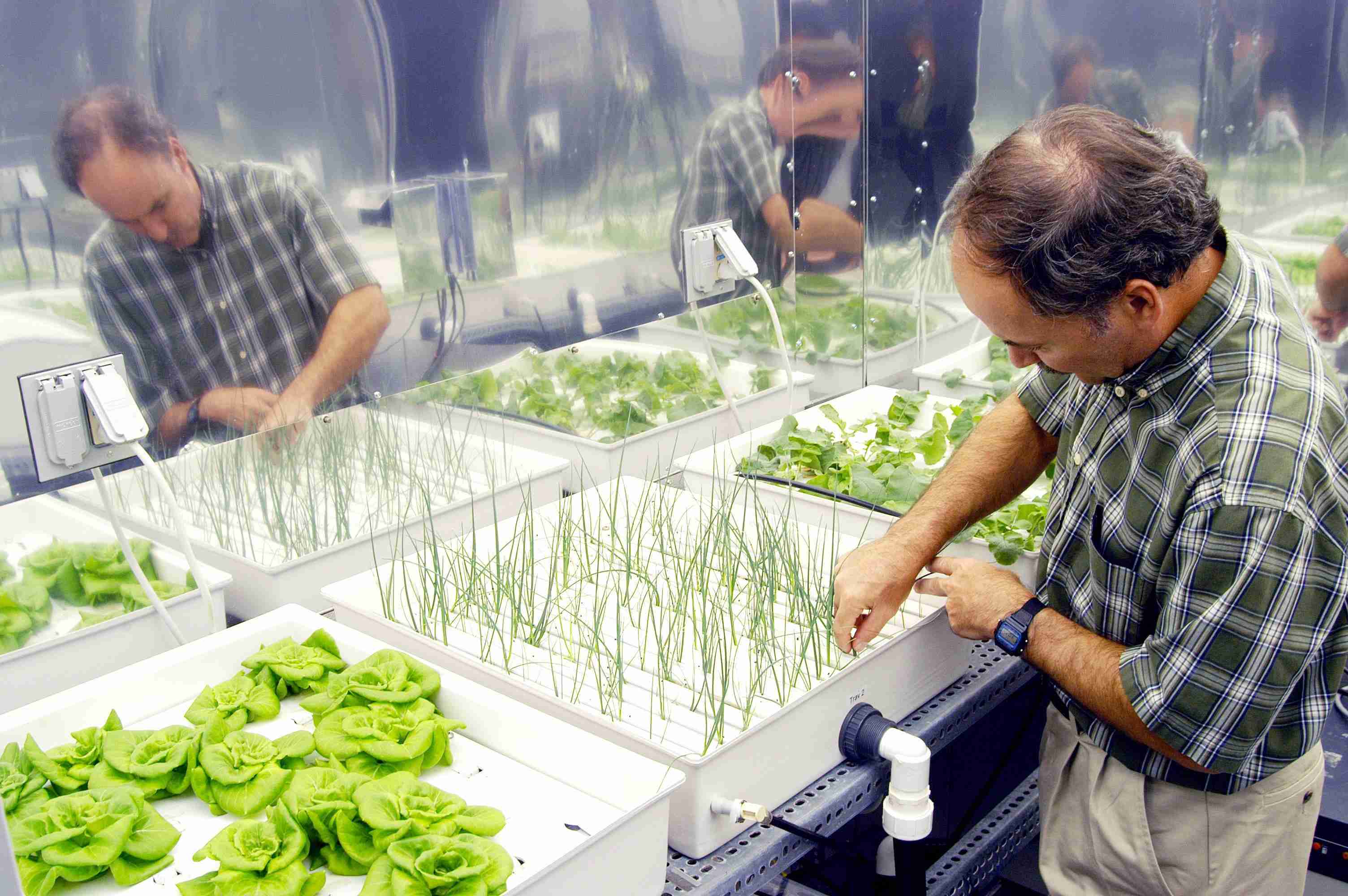 What Are The Different Types Of Hydroponics Systems