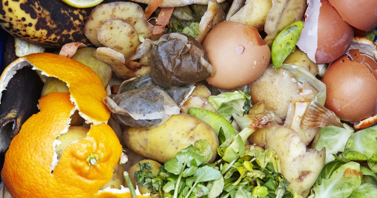 What Foods Can I Compost