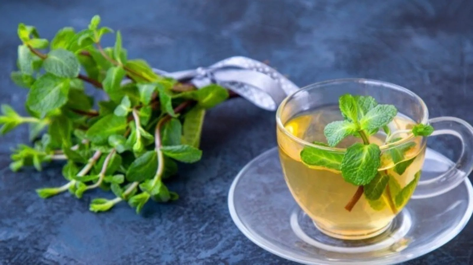 What Herbs Are Good For Bloating
