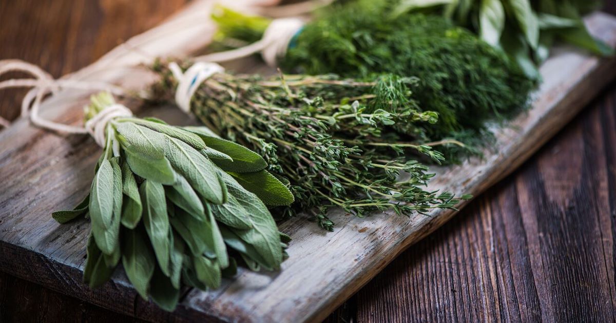 What Herbs Are Good For Pain