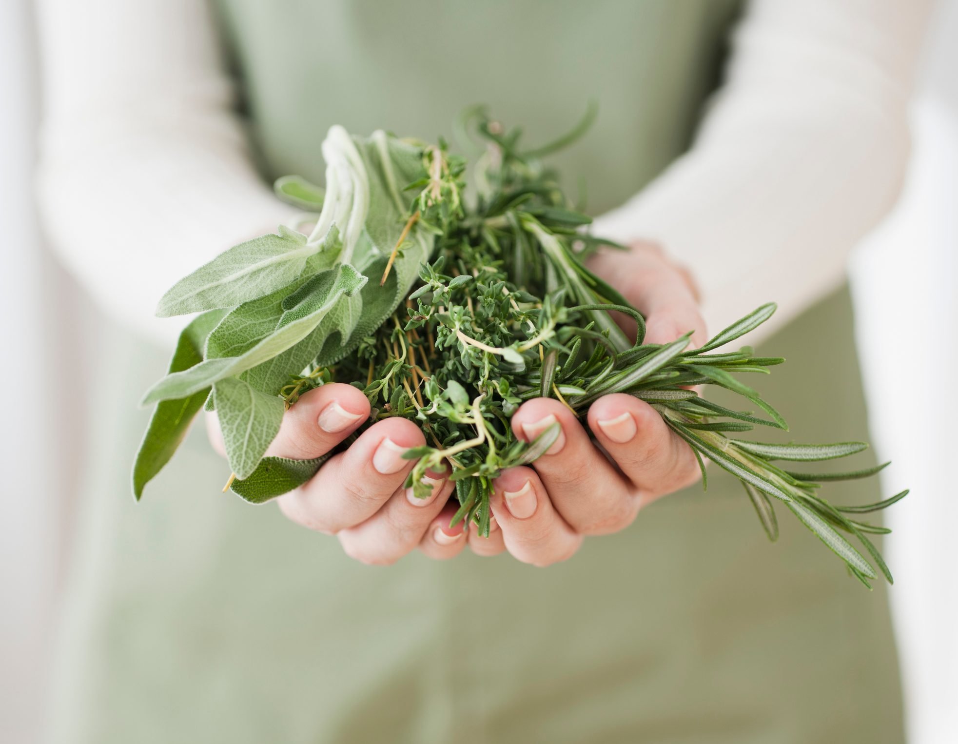 What Herbs Are Good For Stress