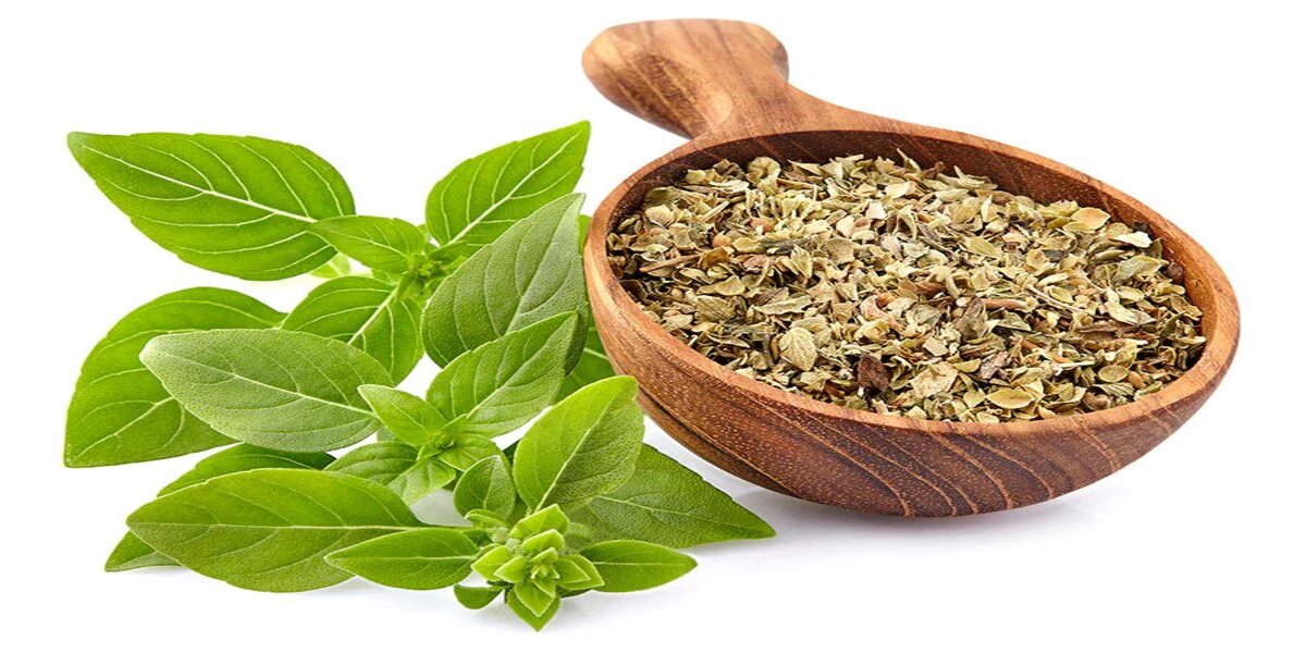 What Herbs Go With Basil