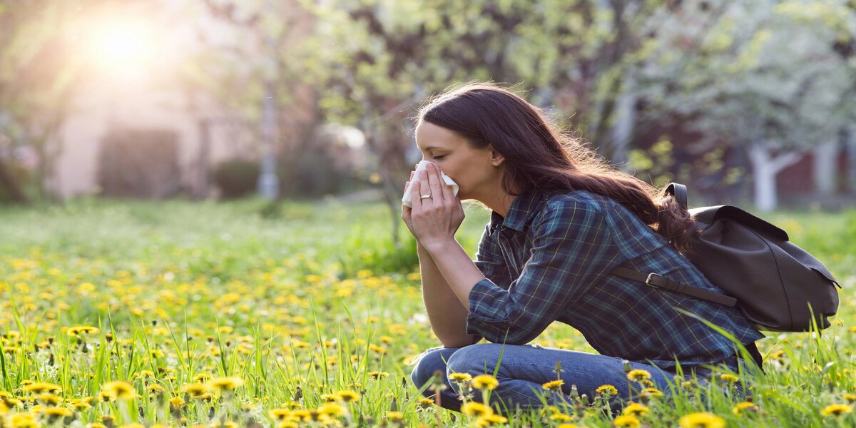 What Herbs Help Allergies