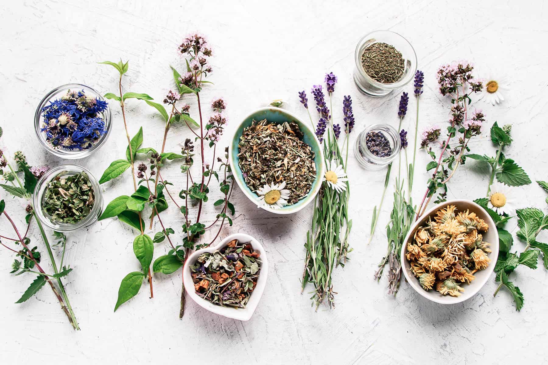 What Herbs Help With Detox