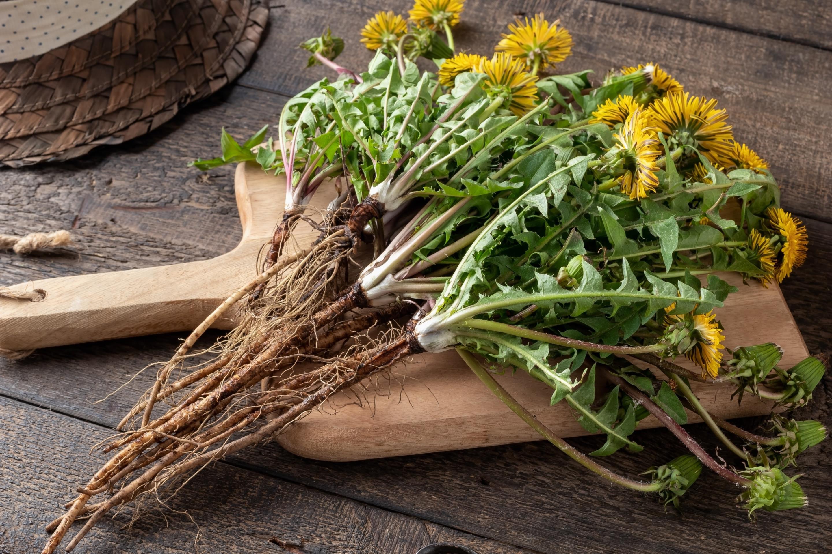 What Herbs Help With Digestion