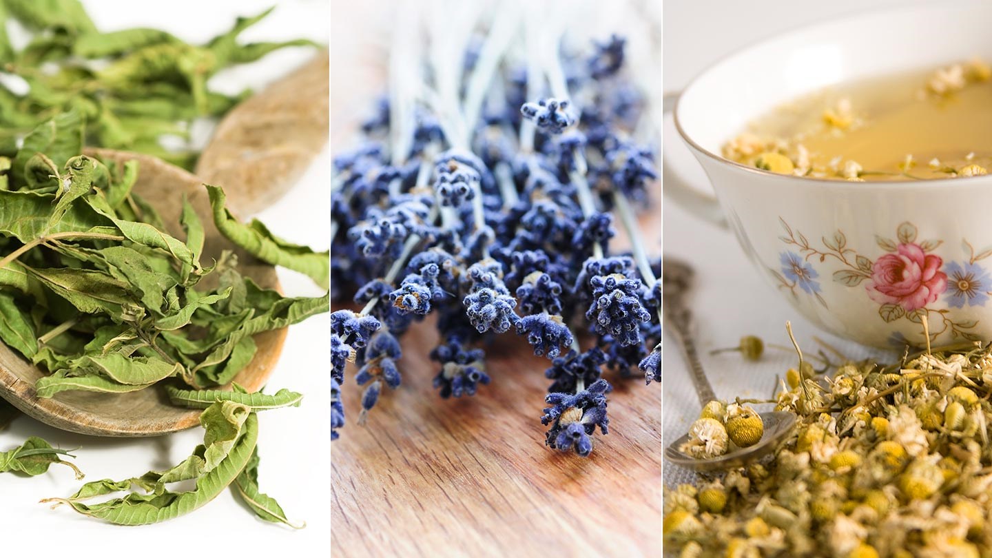 What Herbs Helps With Anxiety