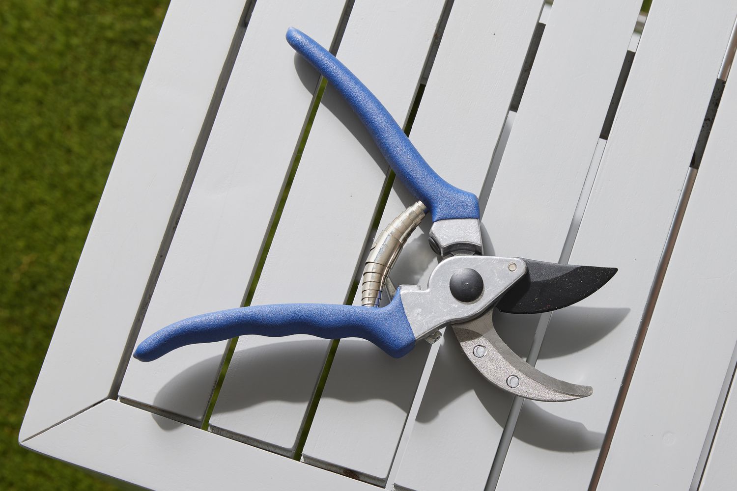 What Is A Pruning Shears