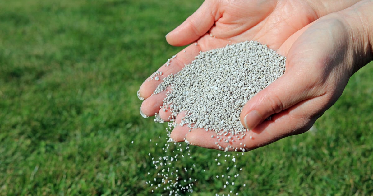 What Is Granular Fertilizer