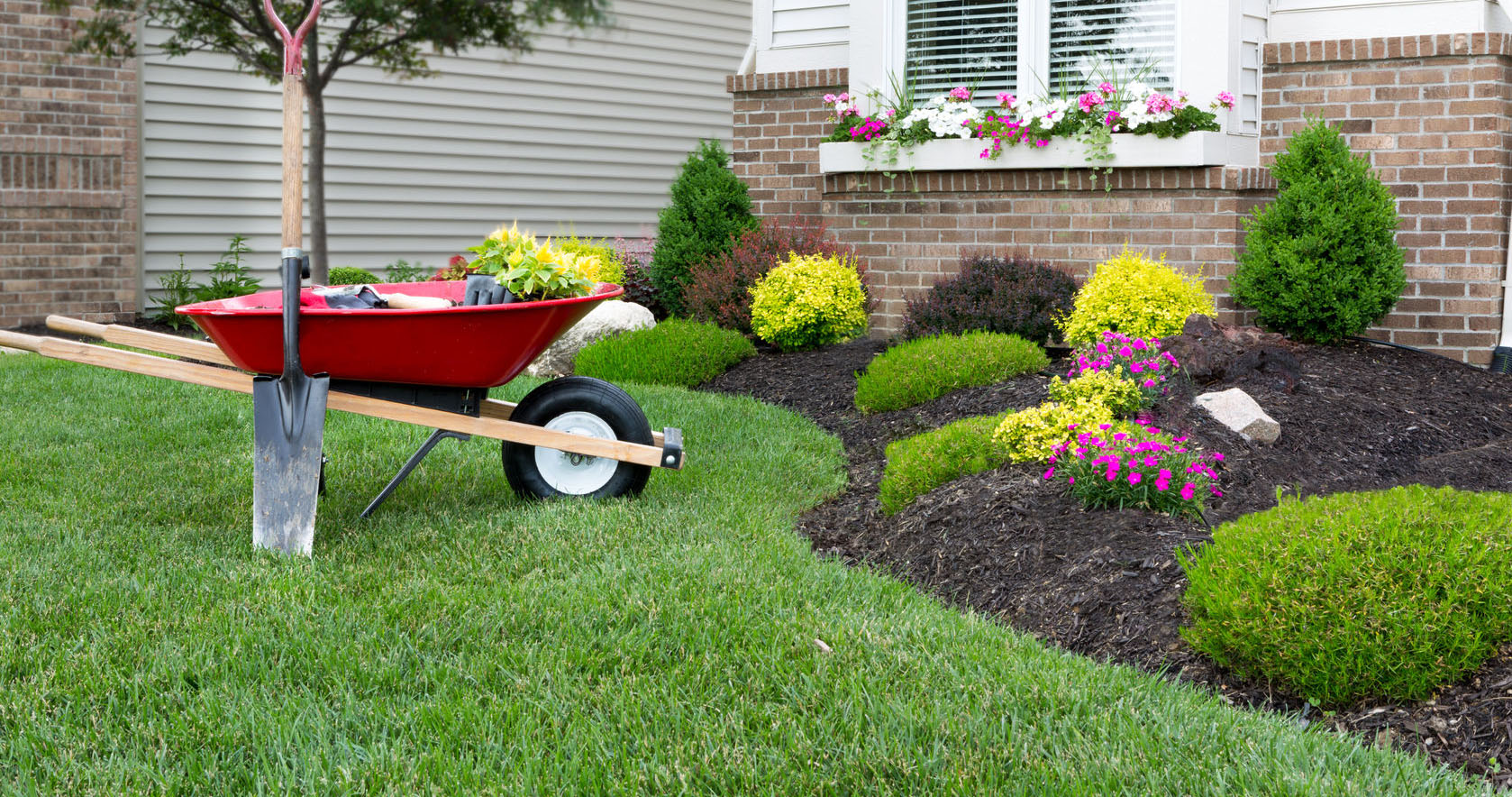 What Is Softscape Landscaping