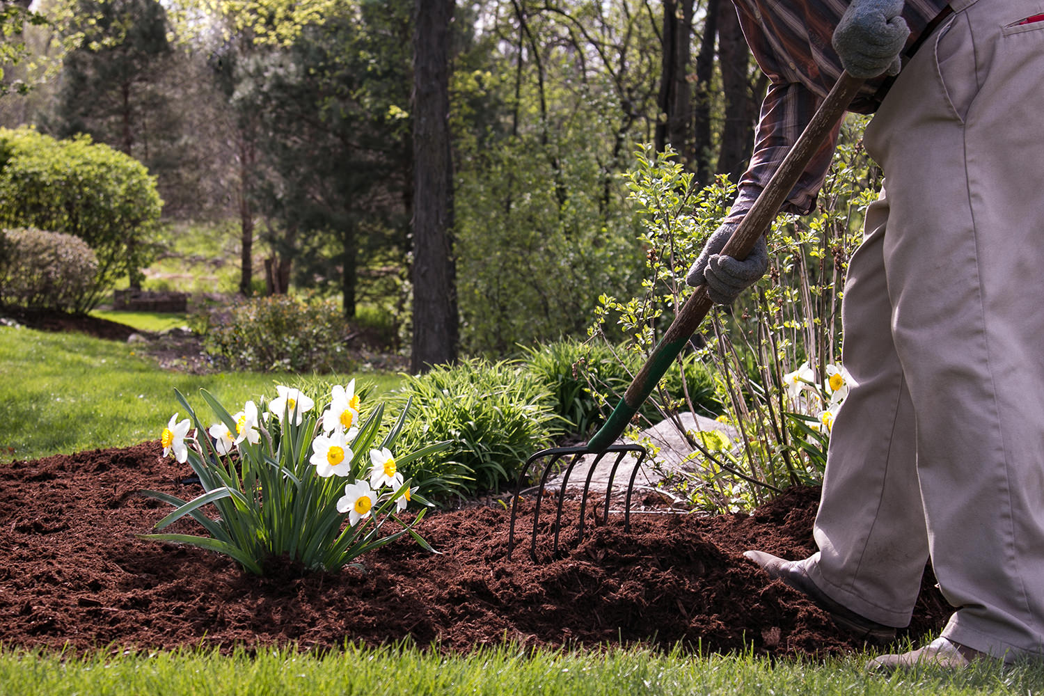 What Is Spring Clean Up For Landscaping
