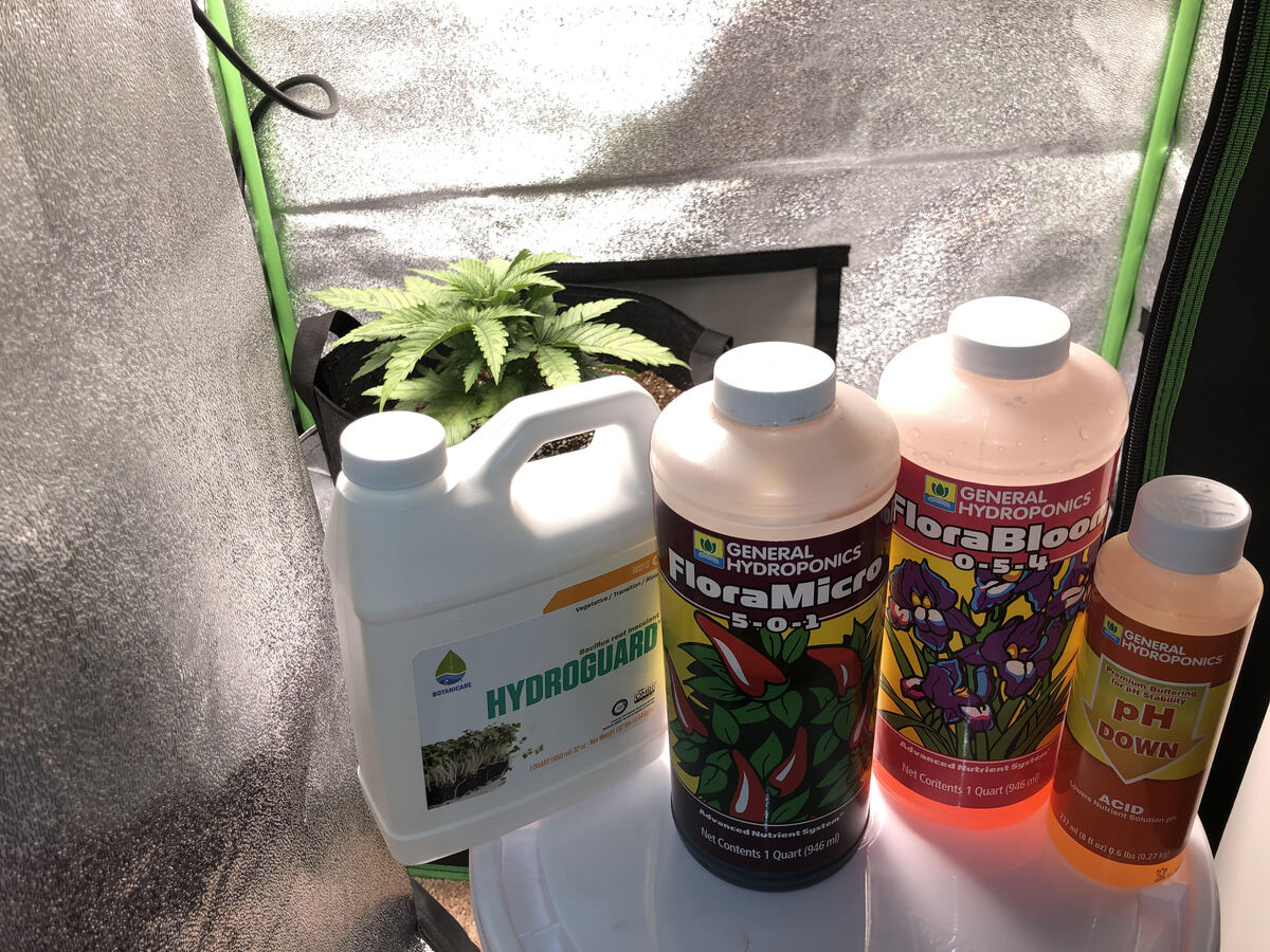What Nutrients Are Required For Hydroponics