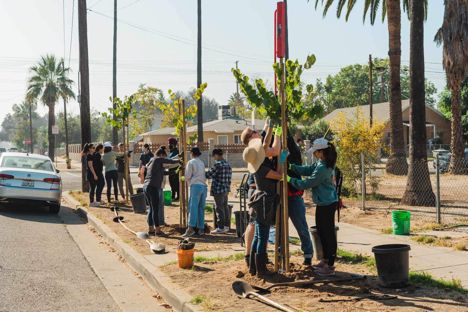 What Planting Zone Is Riverside, CA