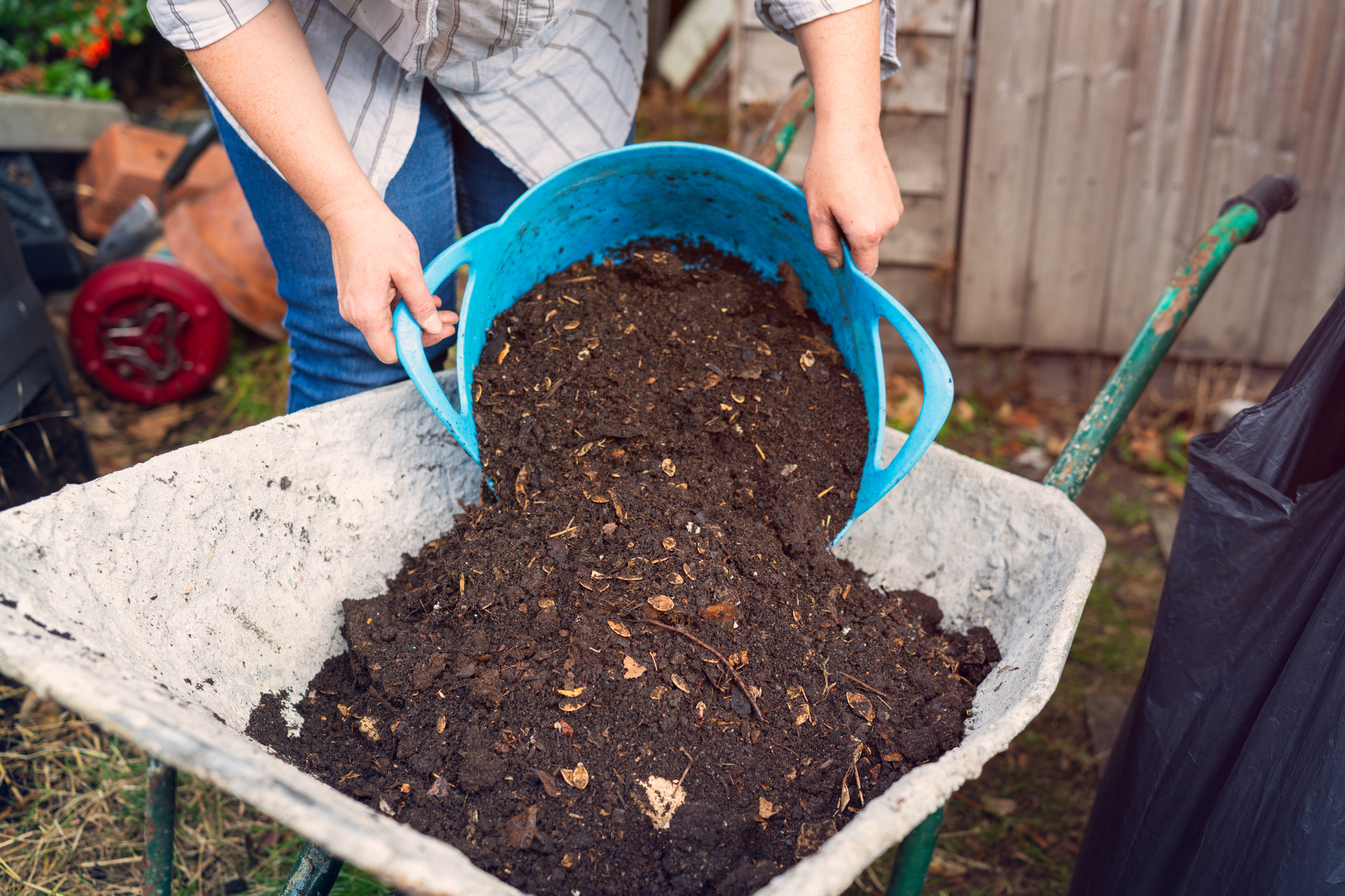 What Should Compost Look Like