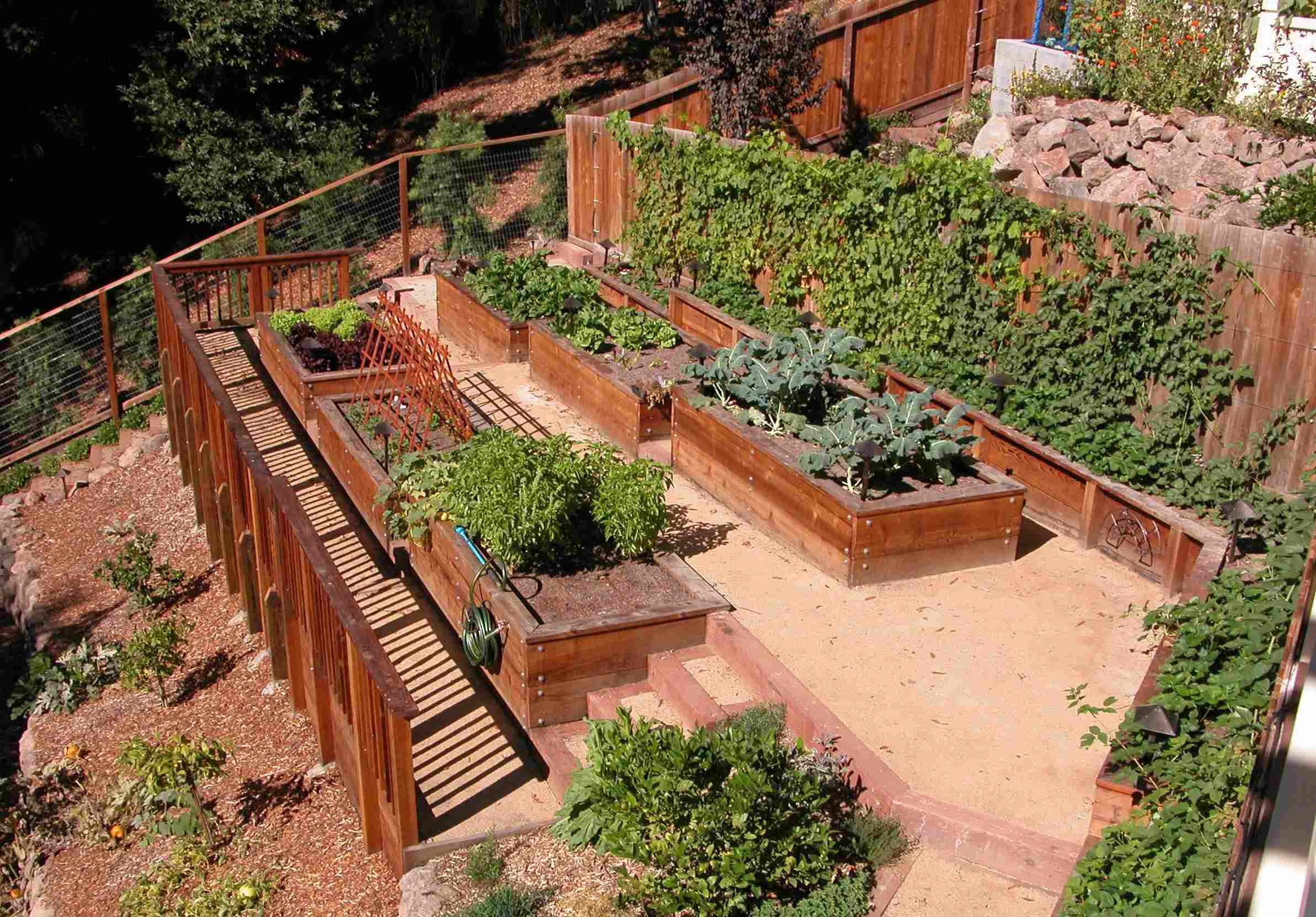 What To Do With A Steep Backyard Chicago Land Gardening