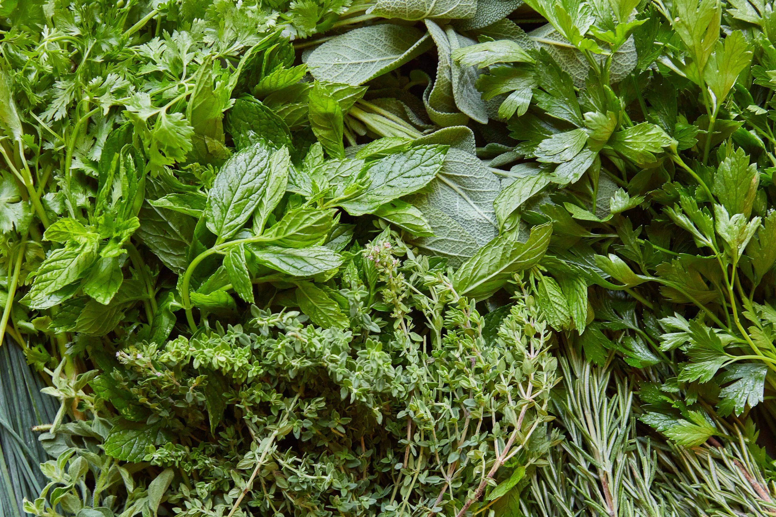 What To Do With Herbs