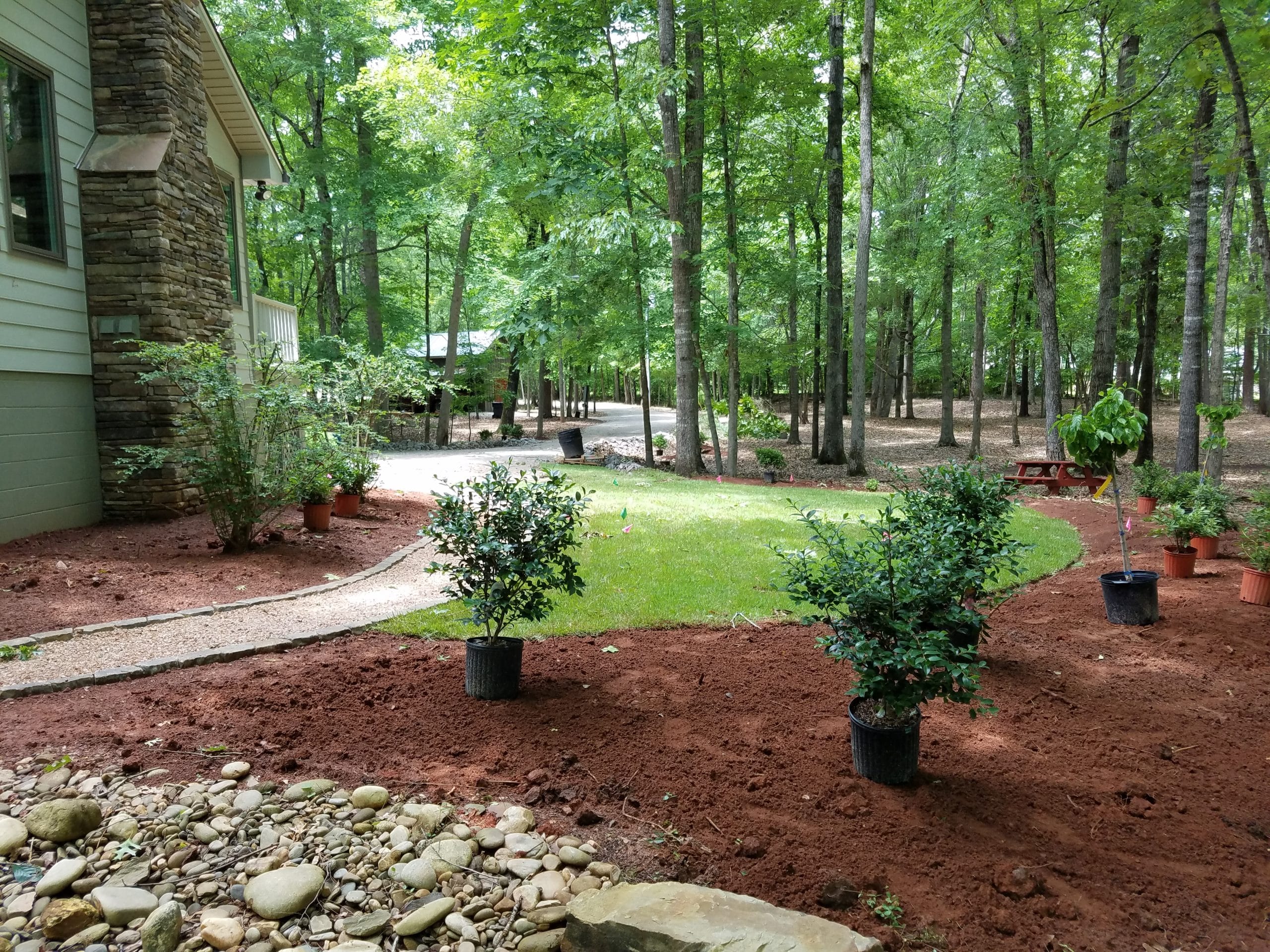 When Is The Best Time To Plant Landscaping